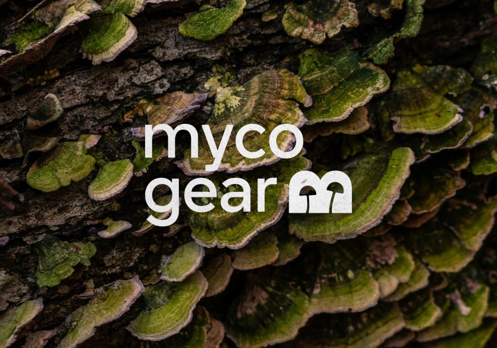 MycoGear Brand Identity